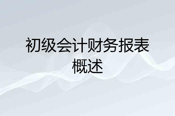初级会计财务报表概述