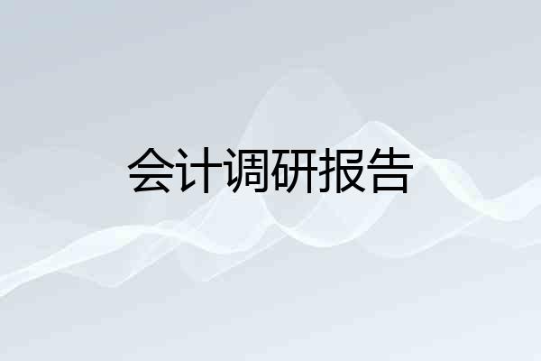 会计调研报告