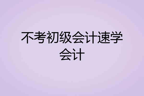 不考初级会计速学会计
