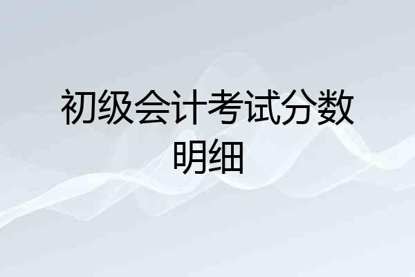 初级会计考试分数明细