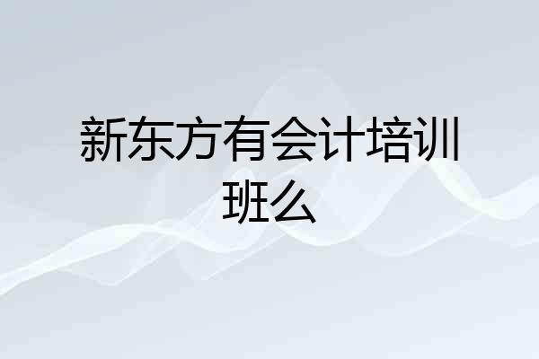 新东方有会计培训班么