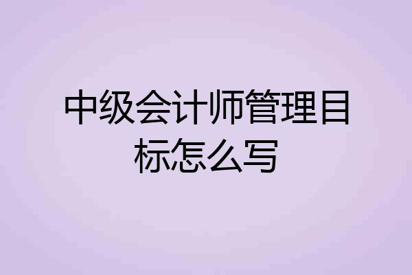 中级会计师管理目标怎么写