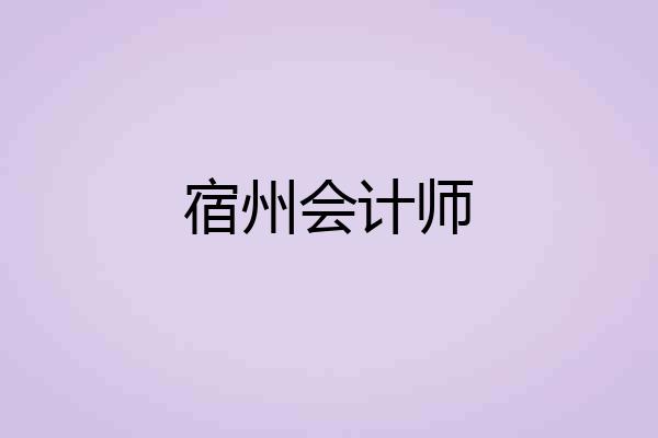 宿州会计师