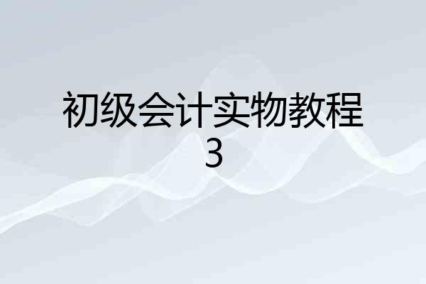 初级会计实物教程3