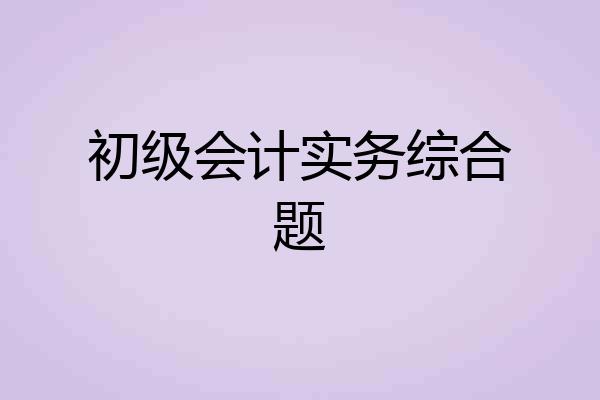 初级会计实务综合题