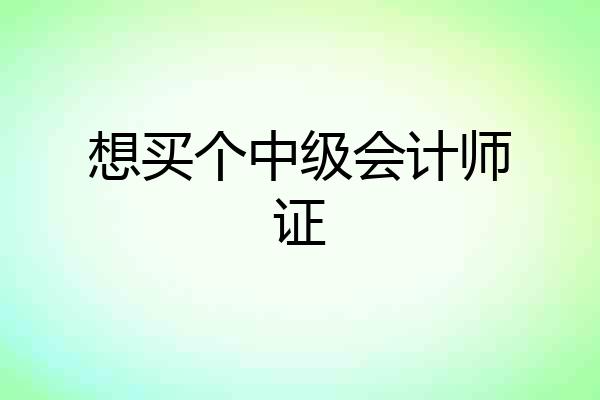 想买个中级会计师证