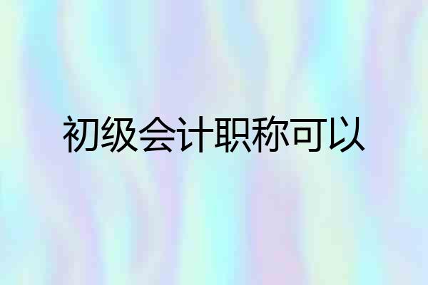 初级会计职称可以