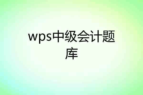 wps中级会计题库