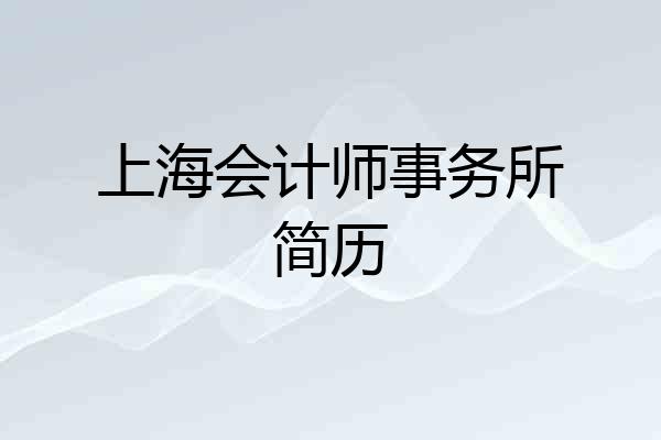 上海会计师事务所简历