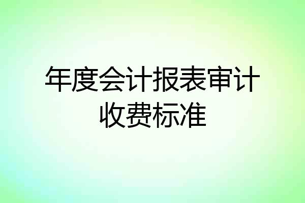 年度会计报表审计收费标准