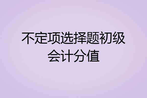 不定项选择题初级会计分值
