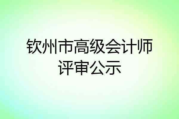 钦州市高级会计师评审公示