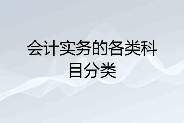 会计实务的各类科目分类