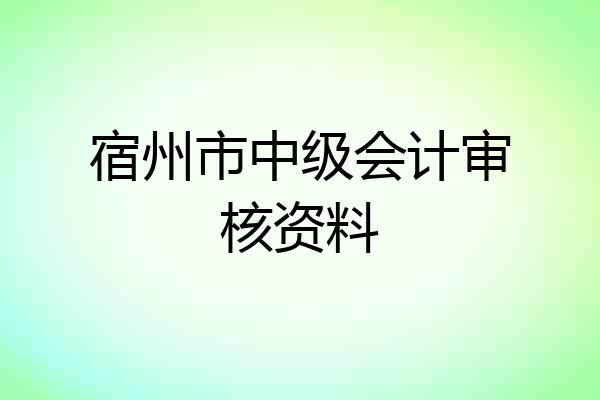 宿州市中级会计审核资料