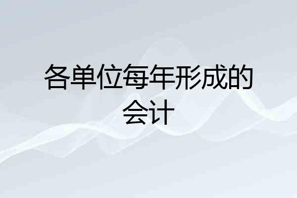 各单位每年形成的会计