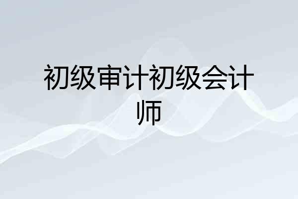 初级审计初级会计师