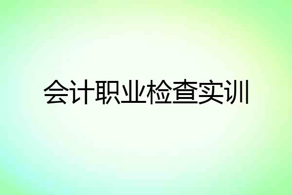 会计职业检查实训