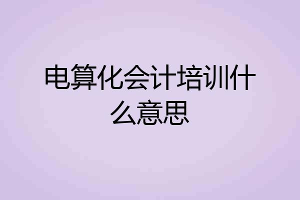 电算化会计培训什么意思