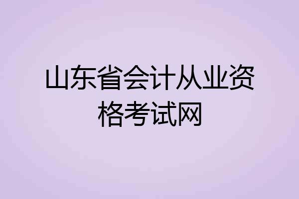 山东省会计从业资格考试网