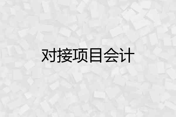对接项目会计
