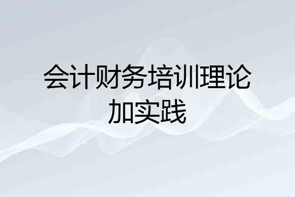 会计财务培训理论加实践