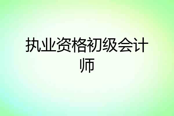 执业资格初级会计师