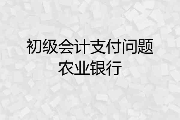 初级会计支付问题农业银行
