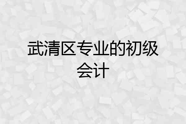 武清区专业的初级会计