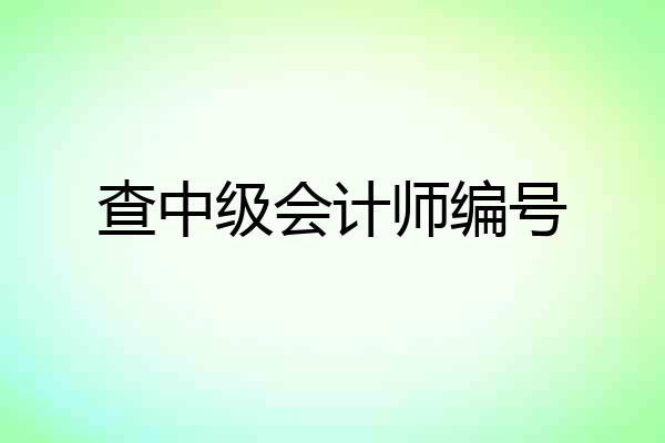 查中级会计师编号