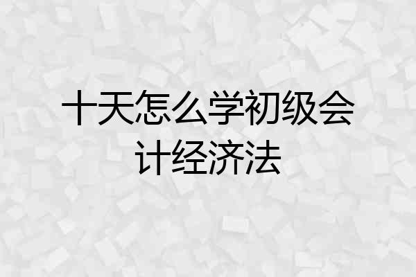 十天怎么学初级会计经济法