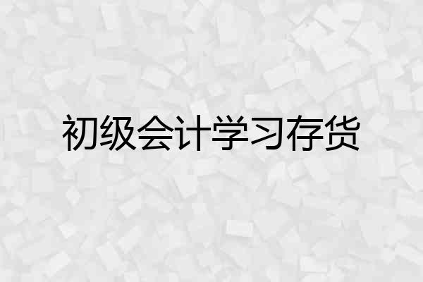 初级会计学习存货