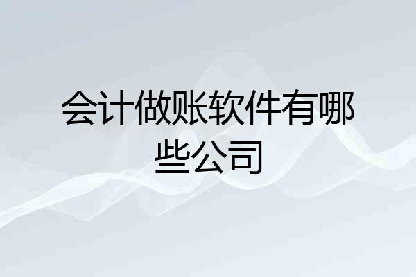 会计做账软件有哪些公司