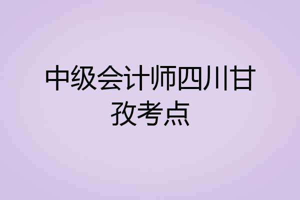 中级会计师四川甘孜考点