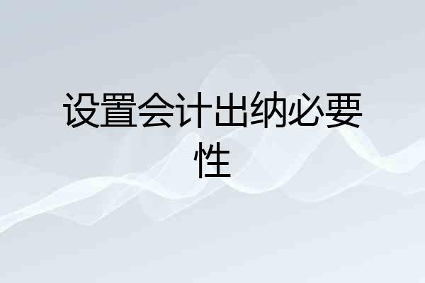 设置会计出纳必要性