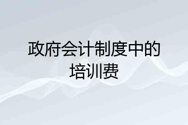 政府会计制度中的培训费