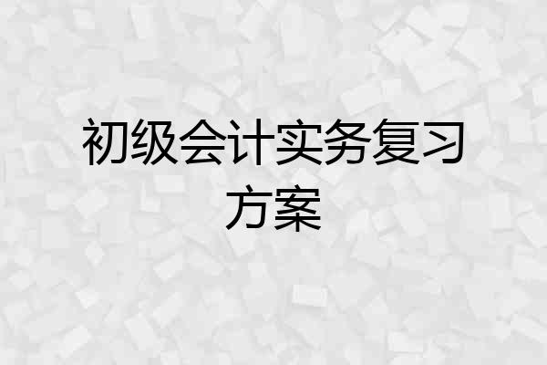 初级会计实务复习方案