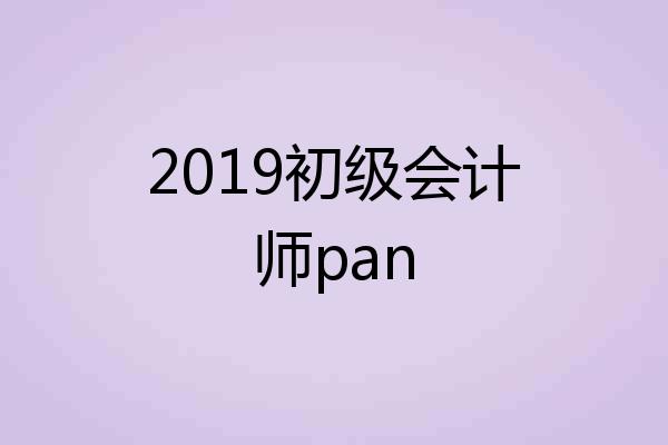 2019初级会计师pan