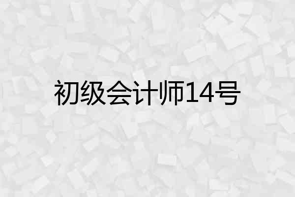 初级会计师14号