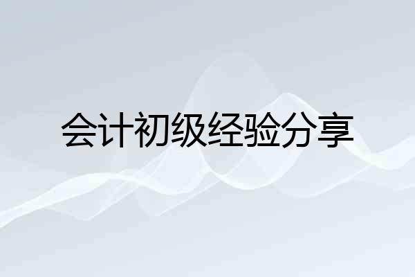 会计初级经验分享
