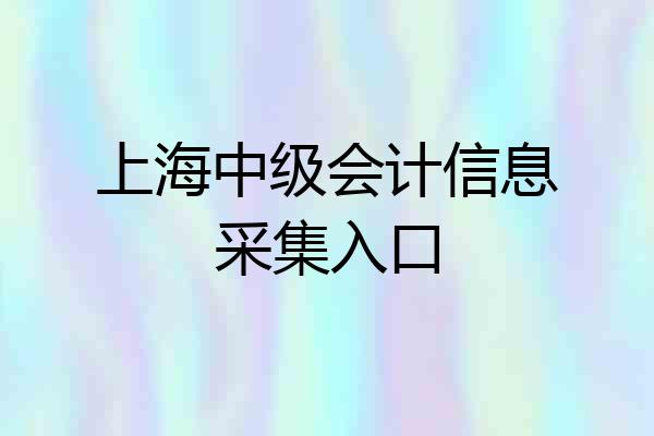 上海中级会计信息采集入口
