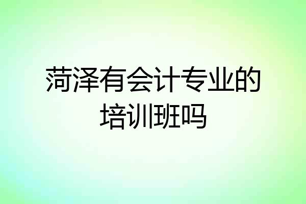 菏泽有会计专业的培训班吗