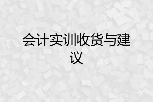 会计实训收货与建议