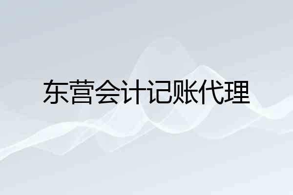 东营会计记账代理