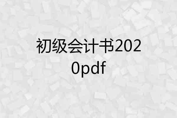 初级会计书2020pdf