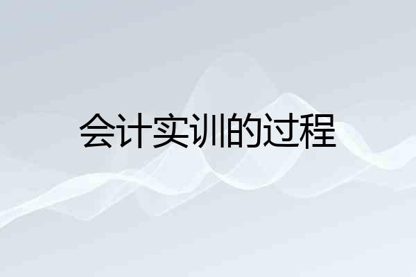 会计实训的过程