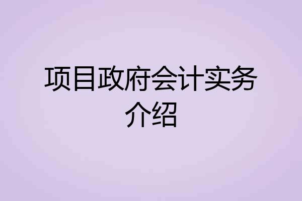 项目政府会计实务介绍