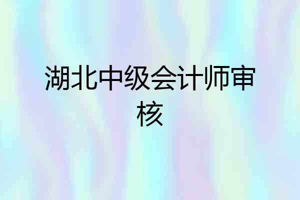 湖北中级会计师审核