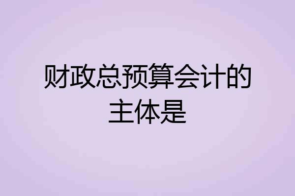 财政总预算会计的主体是