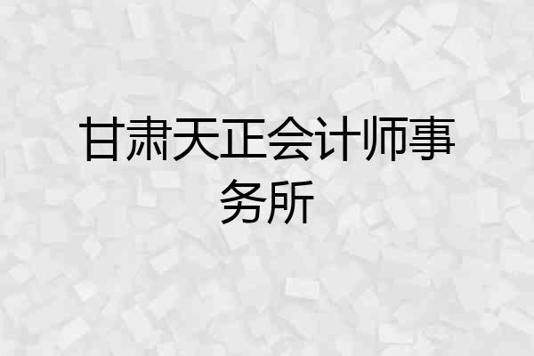 甘肃天正会计师事务所