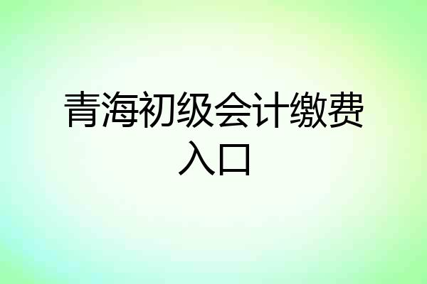 青海初级会计缴费入口